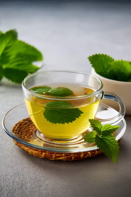is lemon balm tea good for weight loss